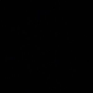 Meet your Posher, Cameron